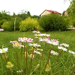 Zabi Staw Mikołajki