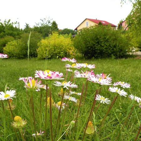 Zabi Staw Mikołajki